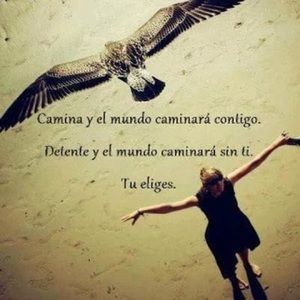 Meet your Posher, Beatriz